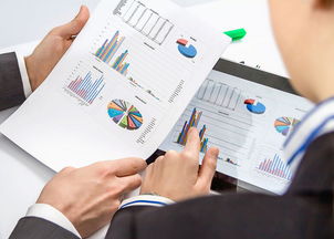 初級(jí)會(huì)計(jì)職稱考試及審計(jì)、稅務(wù)服務(wù)報(bào)考答疑