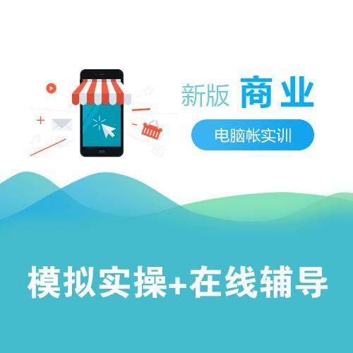 學(xué)會(huì)計(jì)必學(xué)實(shí)操 掌握審計(jì)與稅務(wù)服務(wù)的核心技能